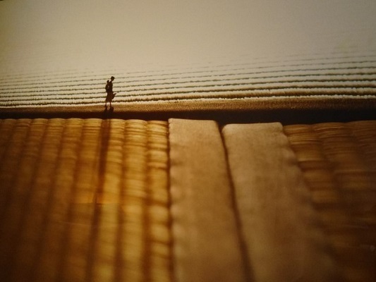 20191101 Miniature Life展16.jpg