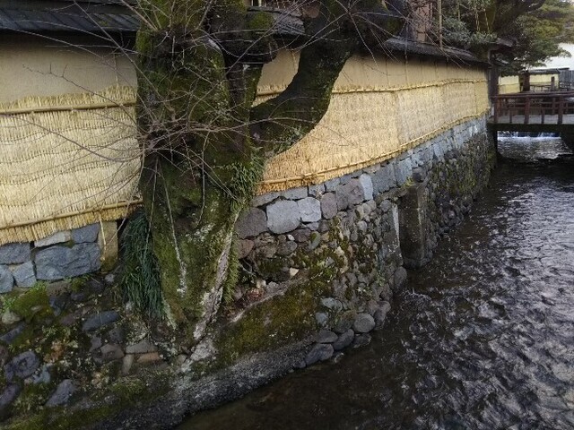 20200102 長町武家屋敷跡群1.jpg