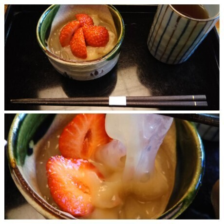 20200202 つぼみ3.jpg