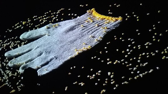 20200208 デザインあ展12.jpg
