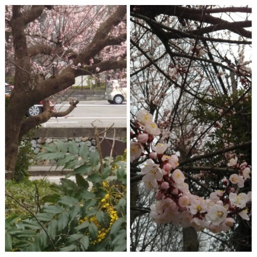 20200314 玉川図書館.jpg