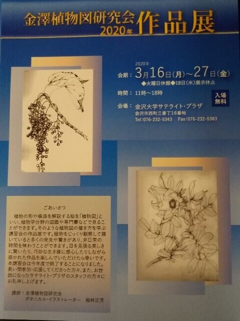20200327 植物図作品展1.jpg