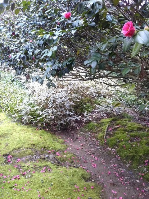 20200328 花巡り10石川県立美術館.jpg