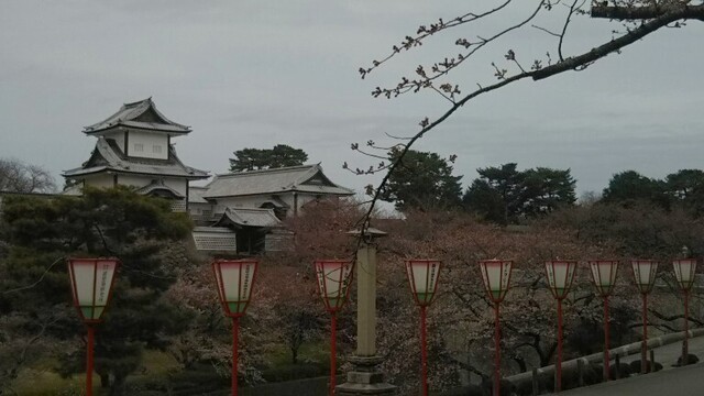 20200328 花巡り12石川門.jpg