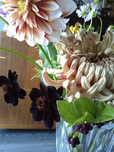 20201024 今週の花2.jpg