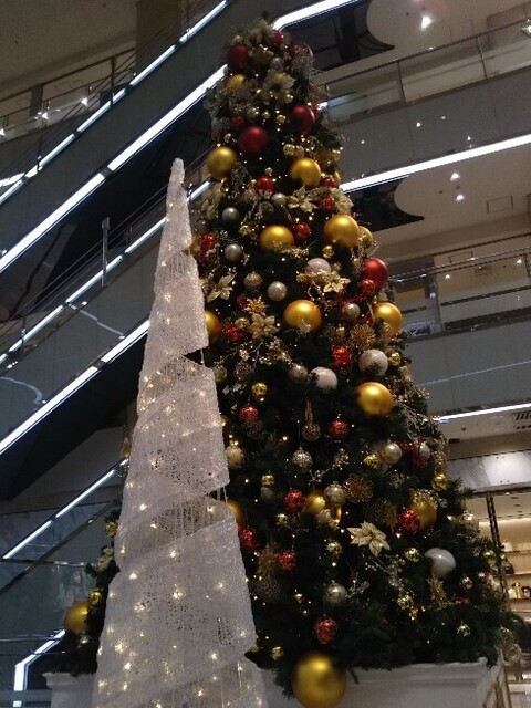 20201129 クリスマスツリー＠香林坊ATRIO.jpg