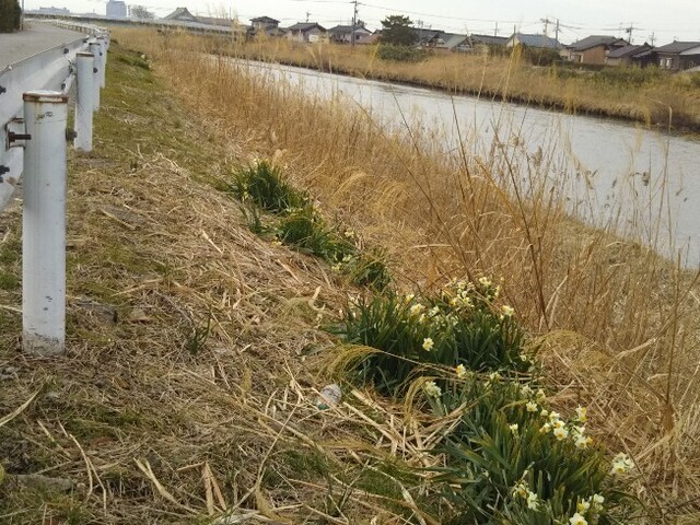20210212 浅野川蚊爪周辺1.jpg