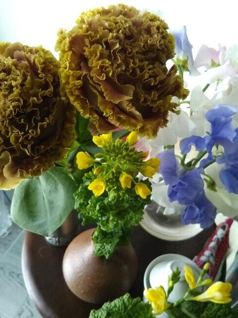 20210306 今週の花 菜の花＆変わりトルコ桔梗.jpg