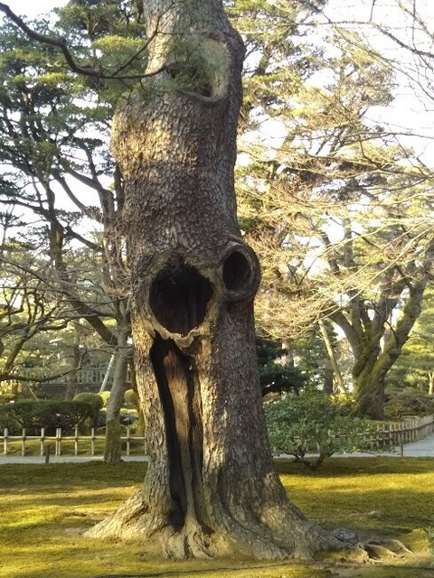 20210307 松@兼六園.jpg