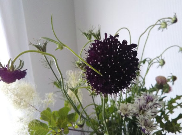 20210620 今週の花2.jpg