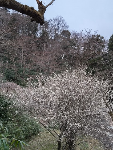 20220313 卯辰山公園.JPG