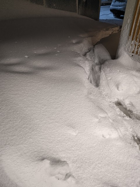 20221223 大雪1.JPG