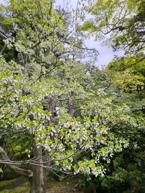 20230419 寺島蔵人邸1.JPG