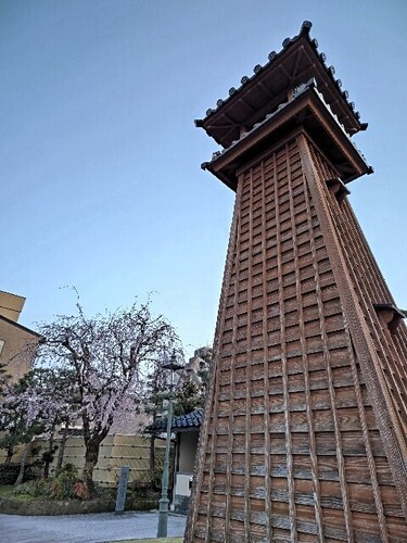 20250407 浅野川沿いの桜1.JPG