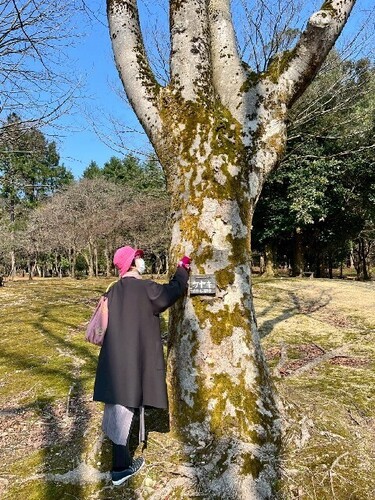 20250407 石川県林業試験場樹木公園.jpg