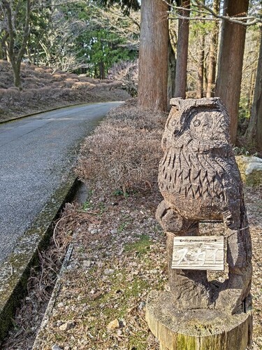 20250407 石川県林業試験場樹木公園10.JPG