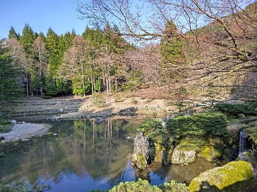 20250407 石川県林業試験場樹木公園12.JPG