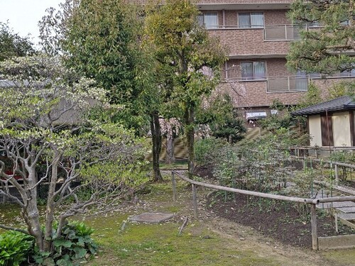 20250419 彦三緑地1.JPG