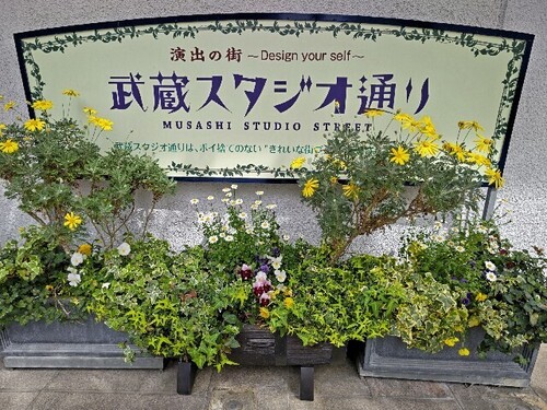 20250422 武蔵スタジオ通り1.JPG