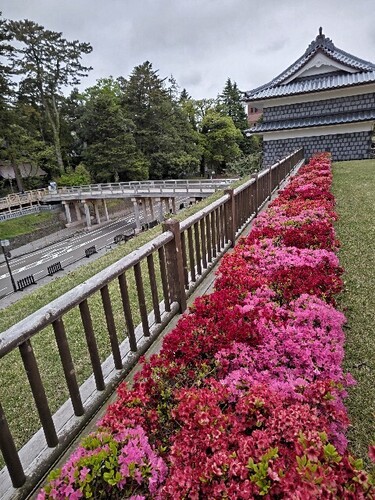 20250424 金沢城公園11鼠多門.JPG