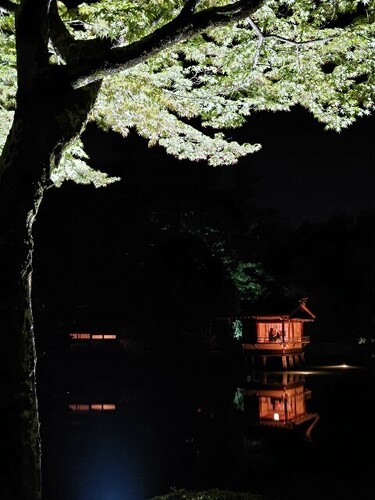 20250426 兼六園2.JPG