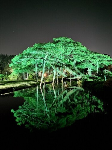 20250426 兼六園6.JPG