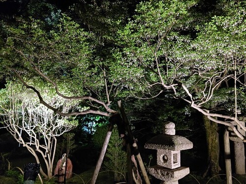 20250426 寺島蔵人邸2.JPG