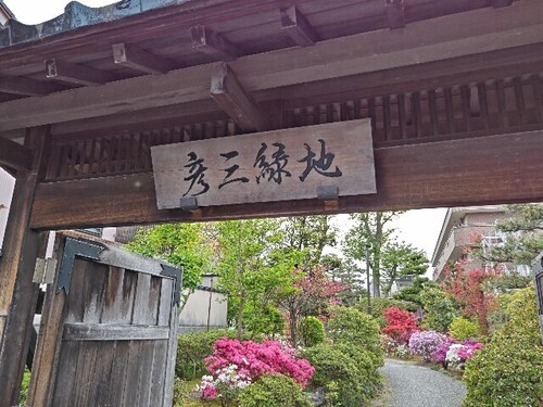 20250427 彦三緑地1.JPG