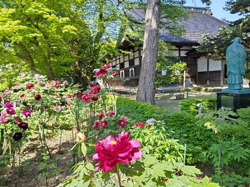 20250501 如来寺1.JPG